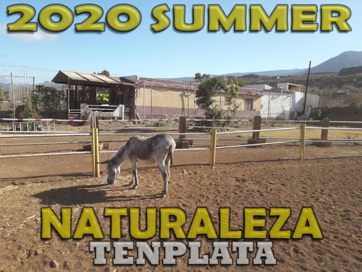 Tenplata Tijoco de Abajo Exterior foto